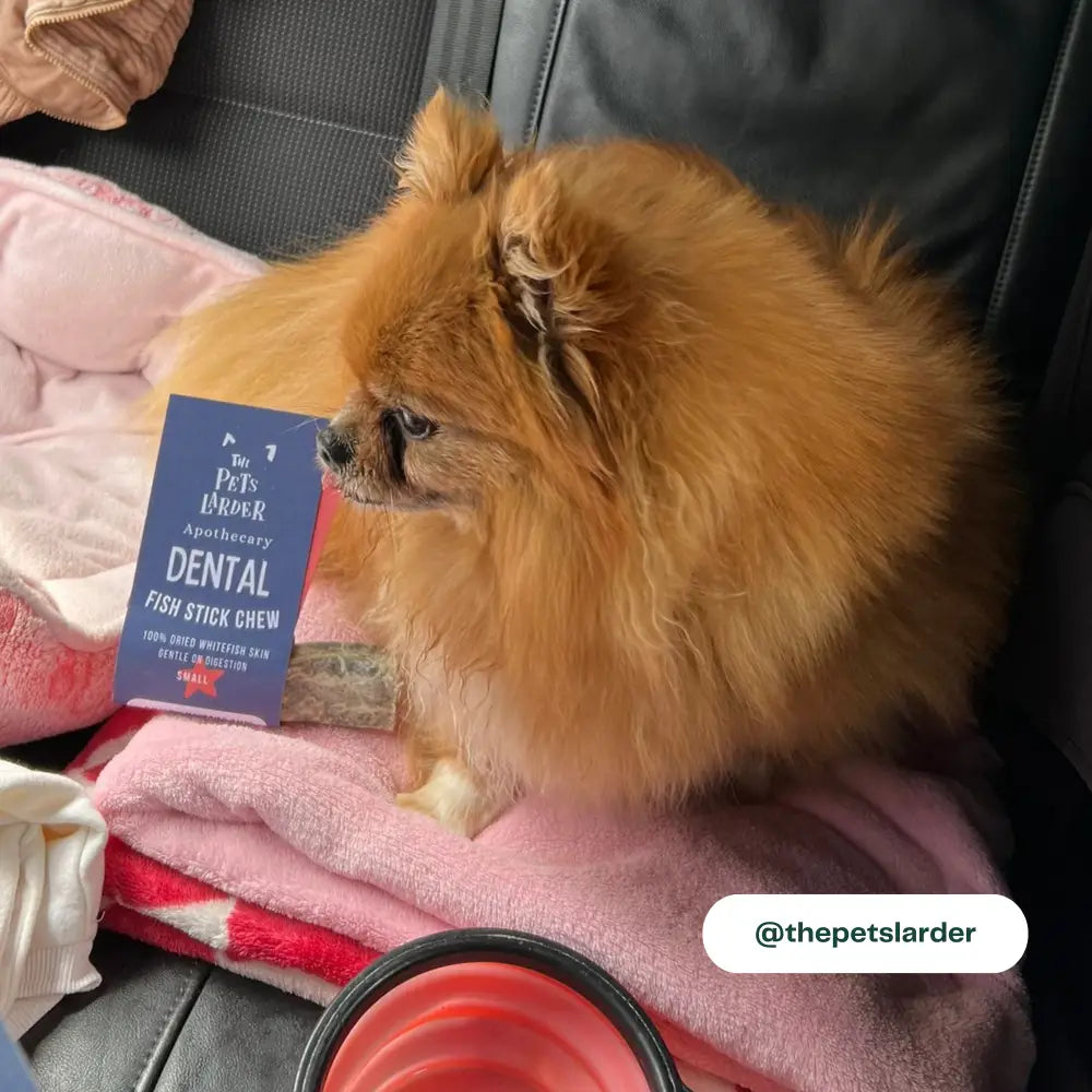 The Pets Larder Collection