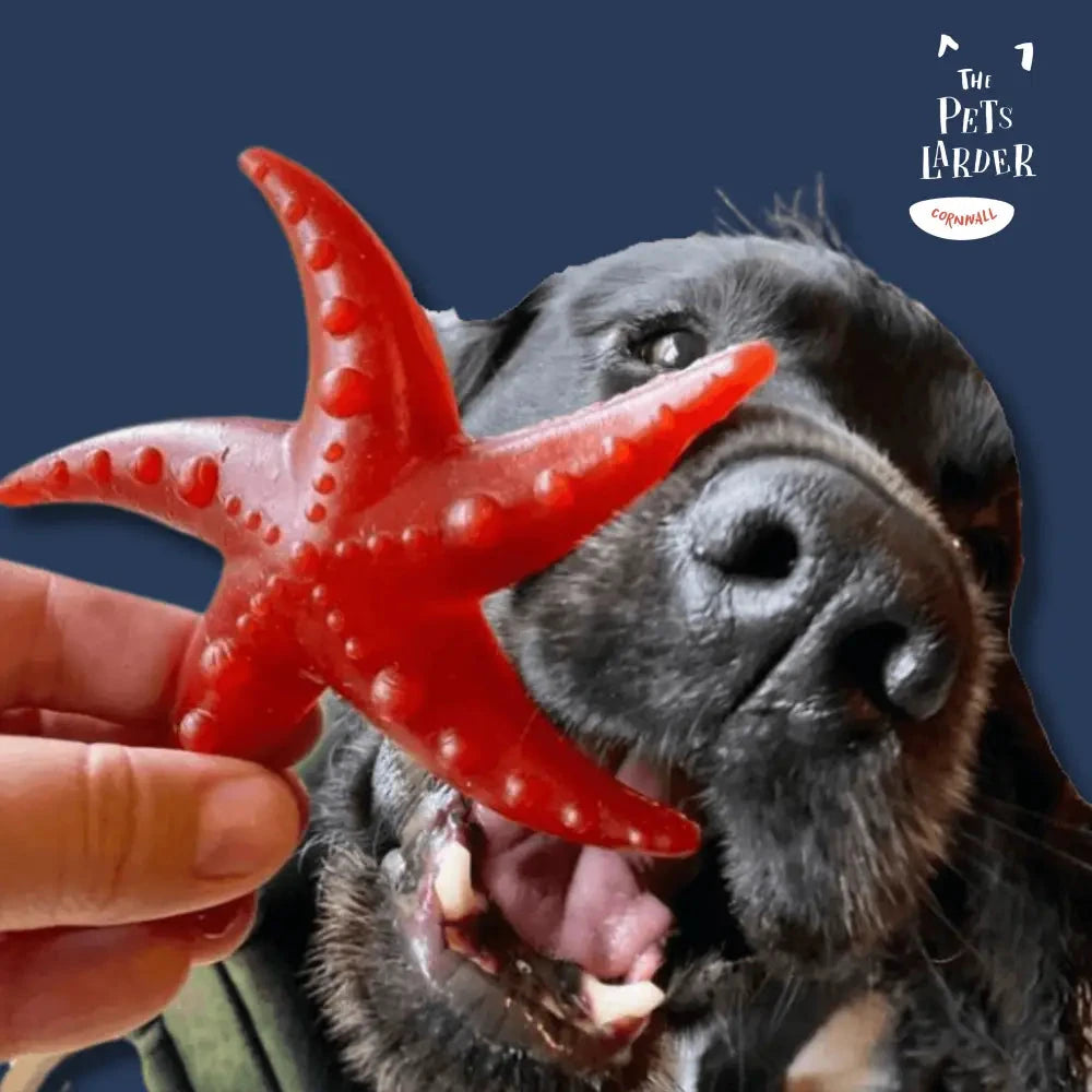 Vegetable Starfish Dog Chews Grain Free Natural | The Pets Larder by The Pets Larder (apple-mint-starfish)