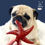 Vegetable Starfish Dog Chews Grain Free Natural | The Pets Larder by The Pets Larder (apple-mint-starfish)