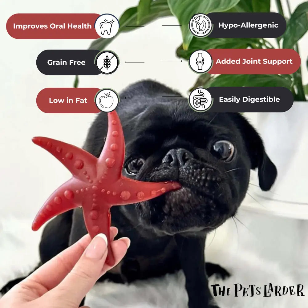 Vegetable Starfish Dog Chews Grain Free Natural | The Pets Larder by The Pets Larder (apple-mint-starfish)