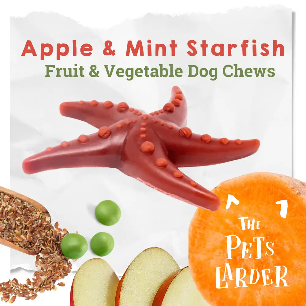 Vegetable Starfish Dog Chews Grain Free Natural | The Pets Larder by The Pets Larder (apple-mint-starfish)