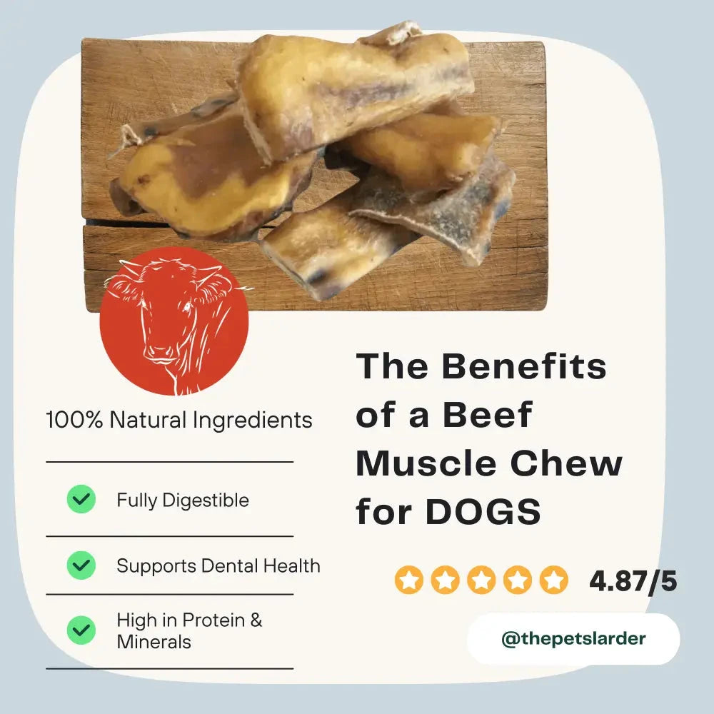 Natural Dog Chews – 100% Beef Muscle for Dental Health by The Pets Larder (beef-muscle-chew-natural-meat-chew-for-dogs)