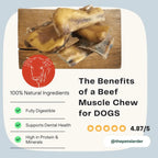Natural Dog Chews – 100% Beef Muscle for Dental Health by The Pets Larder (beef-muscle-chew-natural-meat-chew-for-dogs)