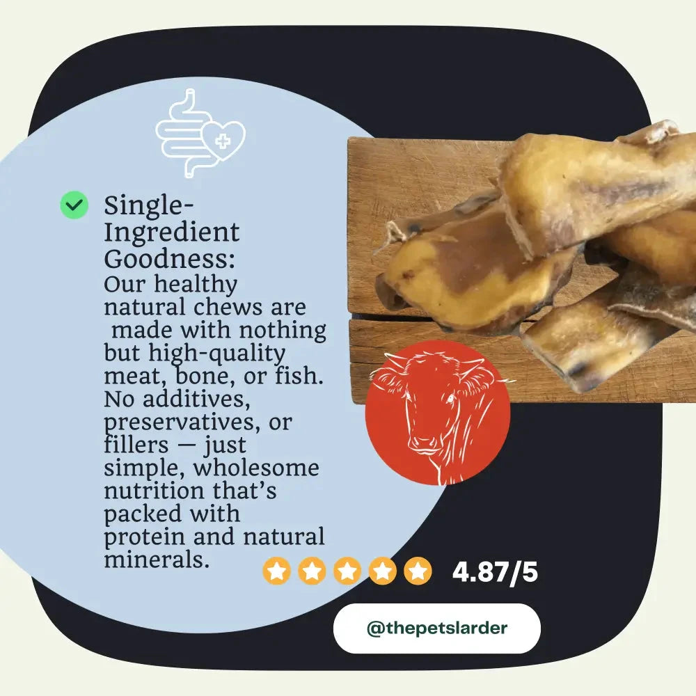 Natural Dog Chews – 100% Beef Muscle for Dental Health by The Pets Larder (beef-muscle-chew-natural-meat-chew-for-dogs)