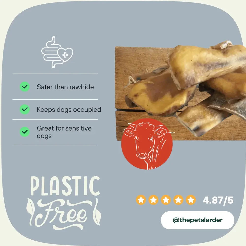 Natural Dog Chews – 100% Beef Muscle for Dental Health by The Pets Larder (beef-muscle-chew-natural-meat-chew-for-dogs)