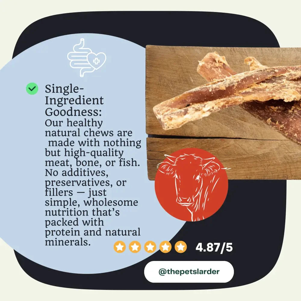 Beef Tendon Dog Chew – Natural Long Lasting Dental Treat by The Pets Larder (beef-neck-tendon-natural-meat-chew-for-dogs)