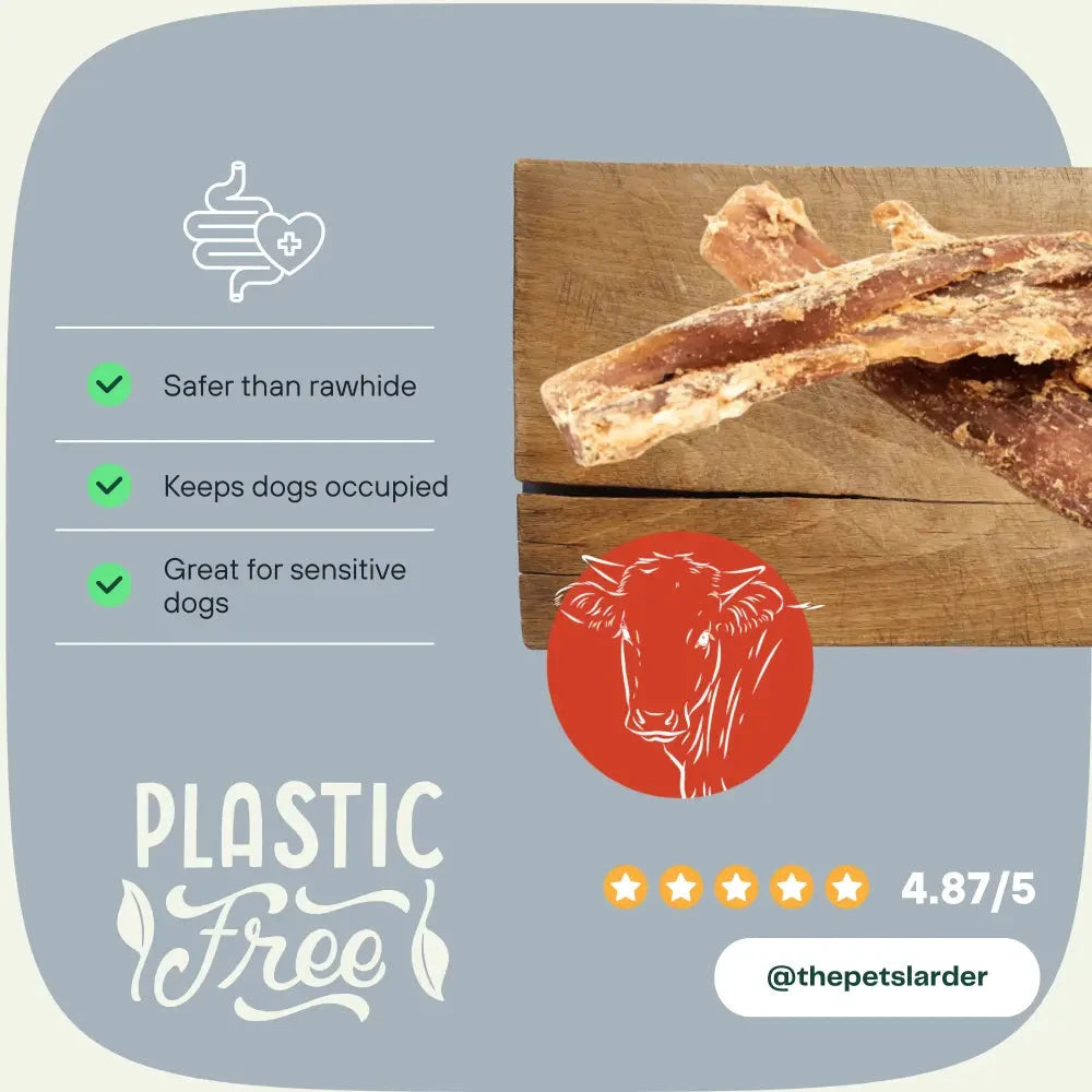 Beef Tendon Dog Chew – Natural Long Lasting Dental Treat by The Pets Larder (beef-neck-tendon-natural-meat-chew-for-dogs)