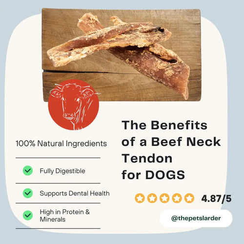 Beef Tendon Dog Chew – Natural Long Lasting Dental Treat by The Pets Larder (beef-neck-tendon-natural-meat-chew-for-dogs)