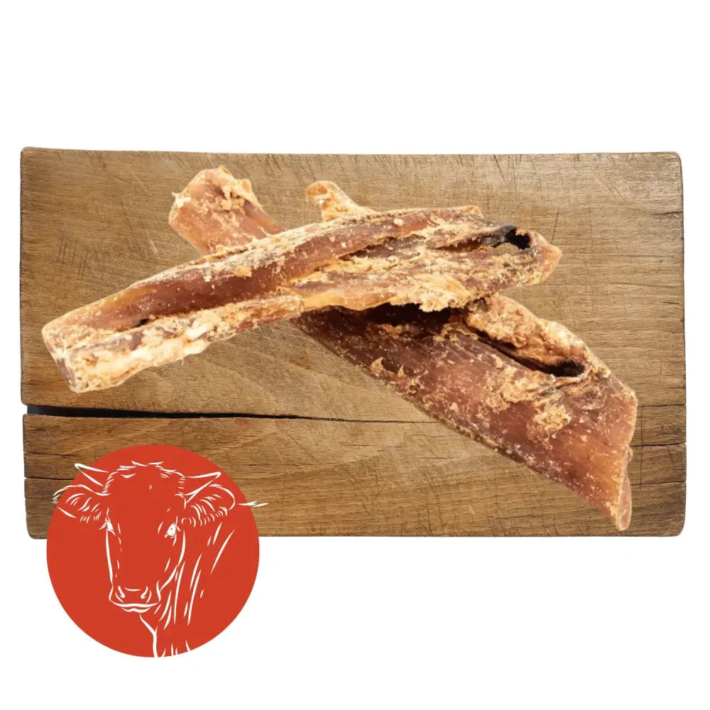 Beef Tendon Dog Chew – Natural Long Lasting Dental Treat by The Pets Larder (beef-neck-tendon-natural-meat-chew-for-dogs)
