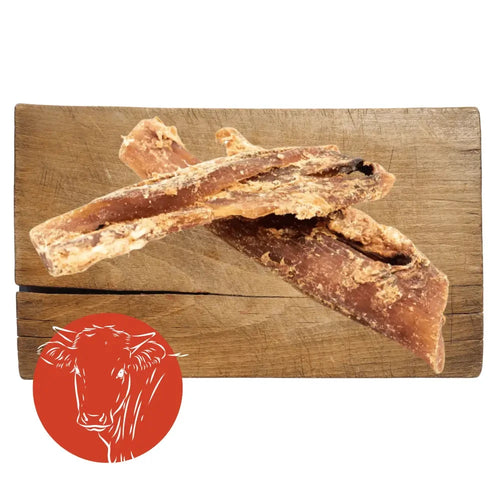 Beef Tendon Dog Chew – Natural Long Lasting Dental Treat by The Pets Larder (beef-neck-tendon-natural-meat-chew-for-dogs)