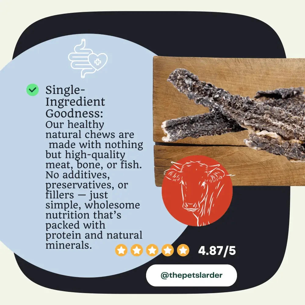 Beef Dog Chews – Natural Training Treats with Probiotics by The Pets Larder (beef-tripe-chew-natural-meat-chew-for-dogs)