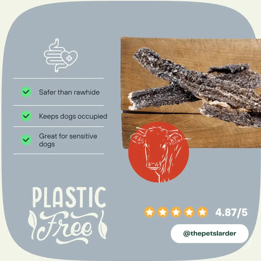 Beef Dog Chews – Natural Training Treats with Probiotics by The Pets Larder (beef-tripe-chew-natural-meat-chew-for-dogs)