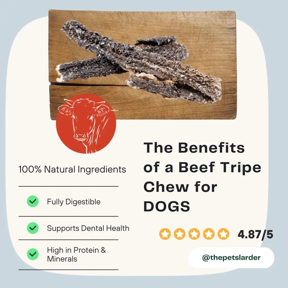 Beef Dog Chews – Natural Training Treats with Probiotics by The Pets Larder (beef-tripe-chew-natural-meat-chew-for-dogs)