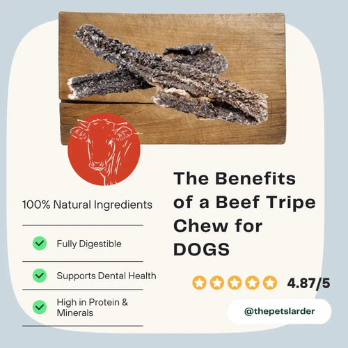 Beef Dog Chews – Natural Training Treats with Probiotics by The Pets Larder (beef-tripe-chew-natural-meat-chew-for-dogs)
