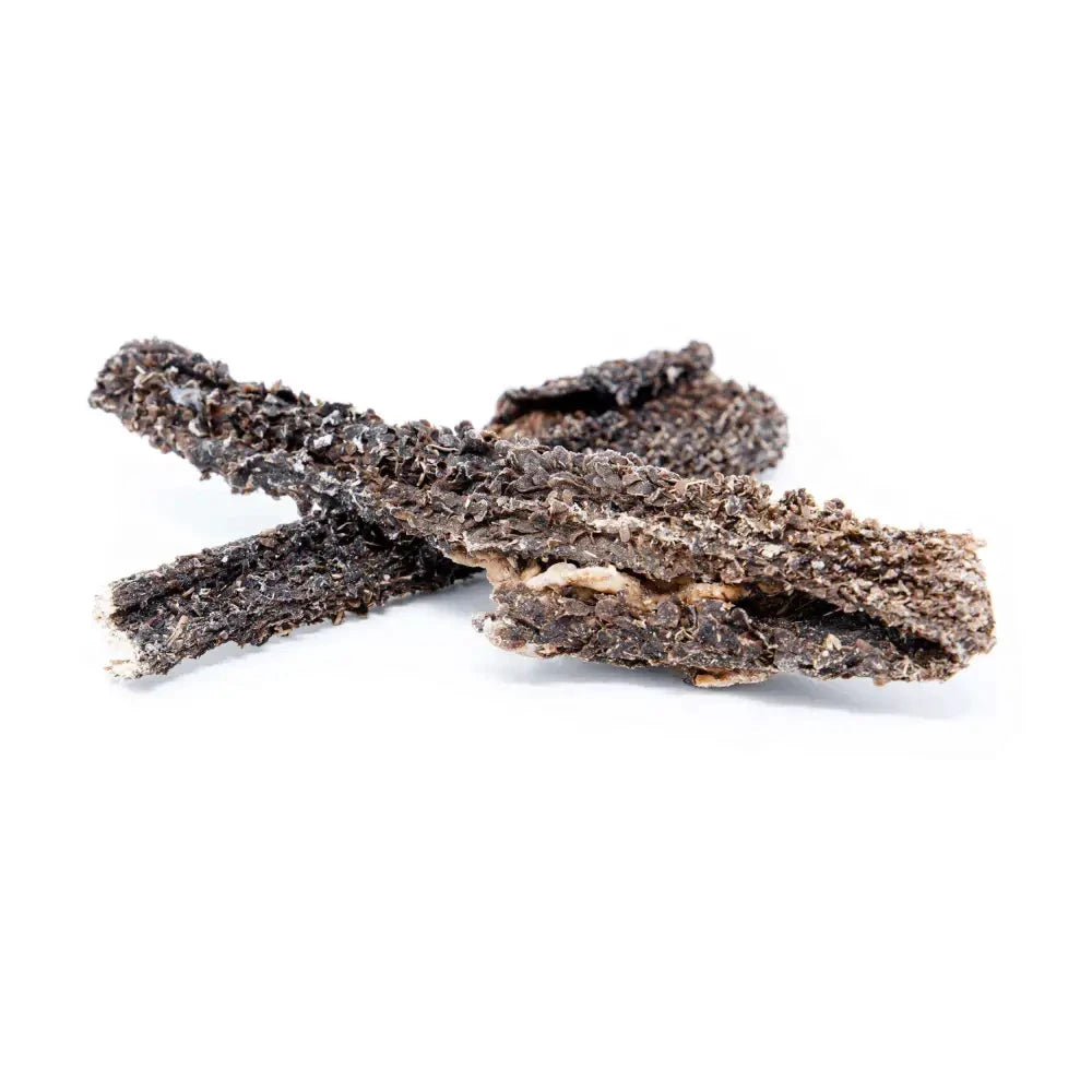 Beef Dog Chews – Natural Training Treats with Probiotics by The Pets Larder (beef-tripe-chew-natural-meat-chew-for-dogs)
