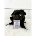 Calming Dog Treats – Duck & Chicken with Lavender & Camomile by The Pets Larder (calming-duck-chicken-cat-dog-treats)