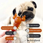Natural Dog Chews - Carrot & Pumpkin Lobster Shape, Grain-Free by The Pets Larder (carrot-pumpkin-lobster-chew-for-dogs)