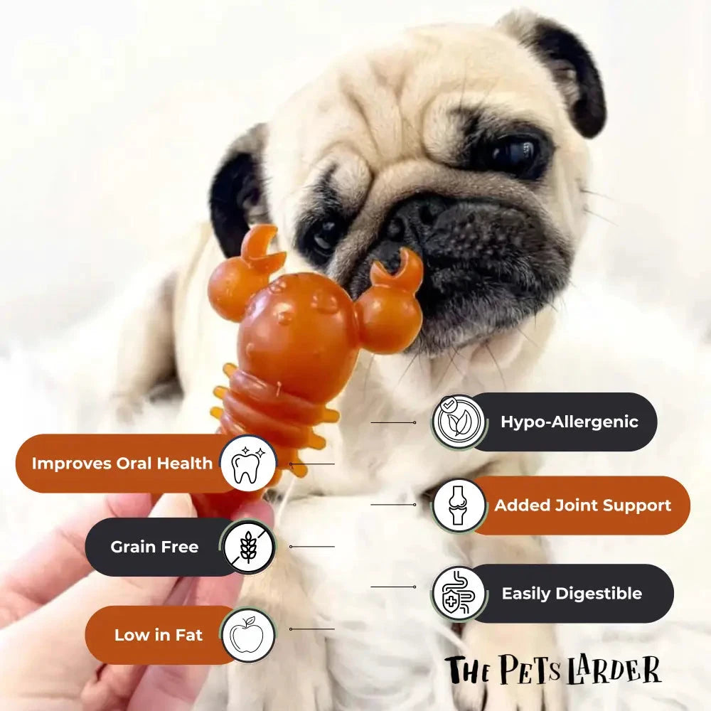 Natural Dog Chews - Carrot & Pumpkin Lobster Shape, Grain-Free by The Pets Larder (carrot-pumpkin-lobster-chew-for-dogs)