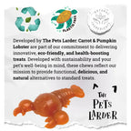 Natural Dog Chews - Carrot & Pumpkin Lobster Shape, Grain-Free by The Pets Larder (carrot-pumpkin-lobster-chew-for-dogs)