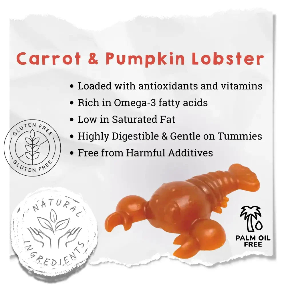 Natural Dog Chews - Carrot & Pumpkin Lobster Shape, Grain-Free by The Pets Larder (carrot-pumpkin-lobster-chew-for-dogs)