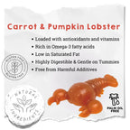 Natural Dog Chews - Carrot & Pumpkin Lobster Shape, Grain-Free by The Pets Larder (carrot-pumpkin-lobster-chew-for-dogs)
