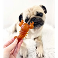 Natural Dog Chews - Carrot & Pumpkin Lobster Shape, Grain-Free by The Pets Larder (carrot-pumpkin-lobster-chew-for-dogs)