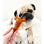 Natural Dog Chews - Carrot & Pumpkin Lobster Shape, Grain-Free by The Pets Larder (carrot-pumpkin-lobster-chew-for-dogs)