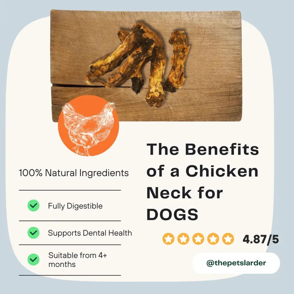 Chicken Neck Dog Chews – Natural Training Treats 1kg by The Pets Larder (chicken-neck-natural-meat-chew-for-dogs)