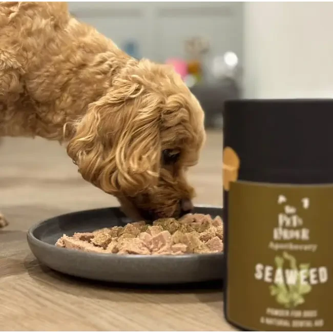 Dog Dental Seaweed – Natural Plaque Removal from Cornwall by The Pets Larder (dental-seaweed-for-dogs-plaque-removal)