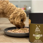 Dog Dental Seaweed – Natural Plaque Removal from Cornwall by The Pets Larder (dental-seaweed-for-dogs-plaque-removal)
