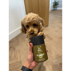 Dog Dental Seaweed – Natural Plaque Removal from Cornwall by The Pets Larder (dental-seaweed-for-dogs-plaque-removal)