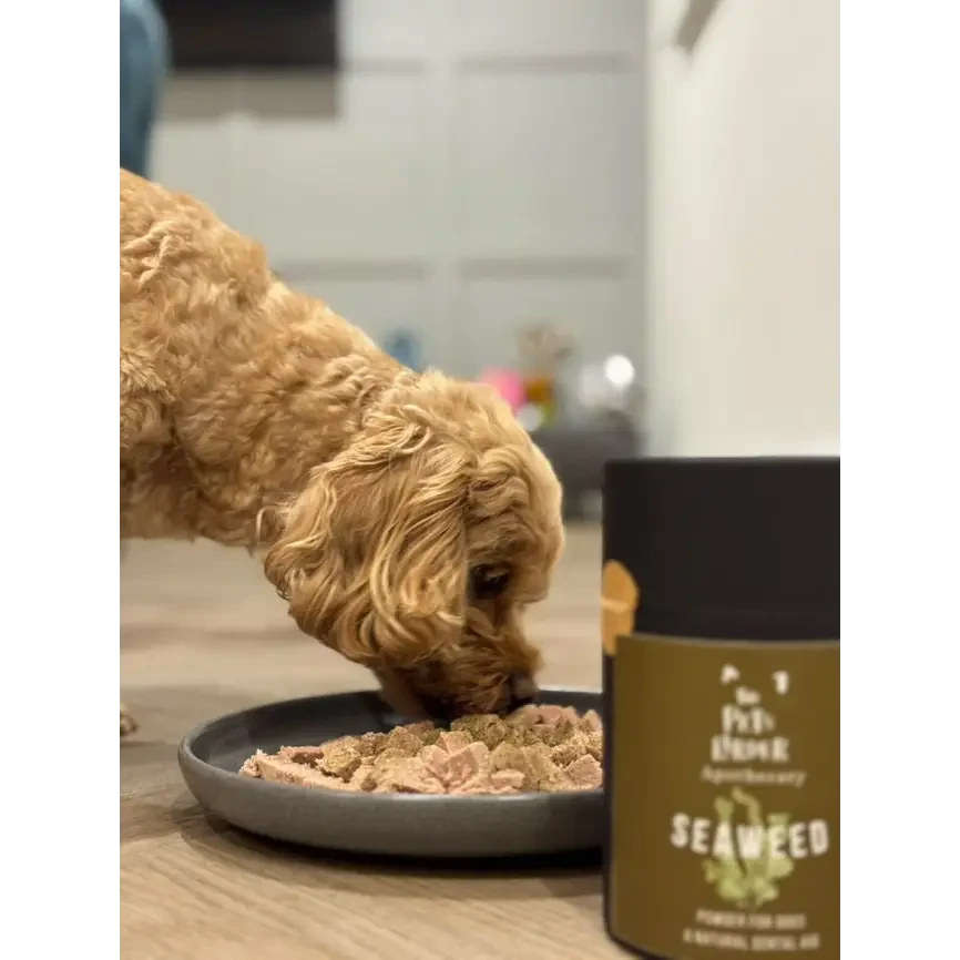Dog Dental Seaweed – Natural Plaque Removal from Cornwall by The Pets Larder (dental-seaweed-for-dogs-plaque-removal)