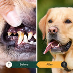 Dog Dental Seaweed – Natural Plaque Removal from Cornwall by The Pets Larder (dental-seaweed-for-dogs-plaque-removal)