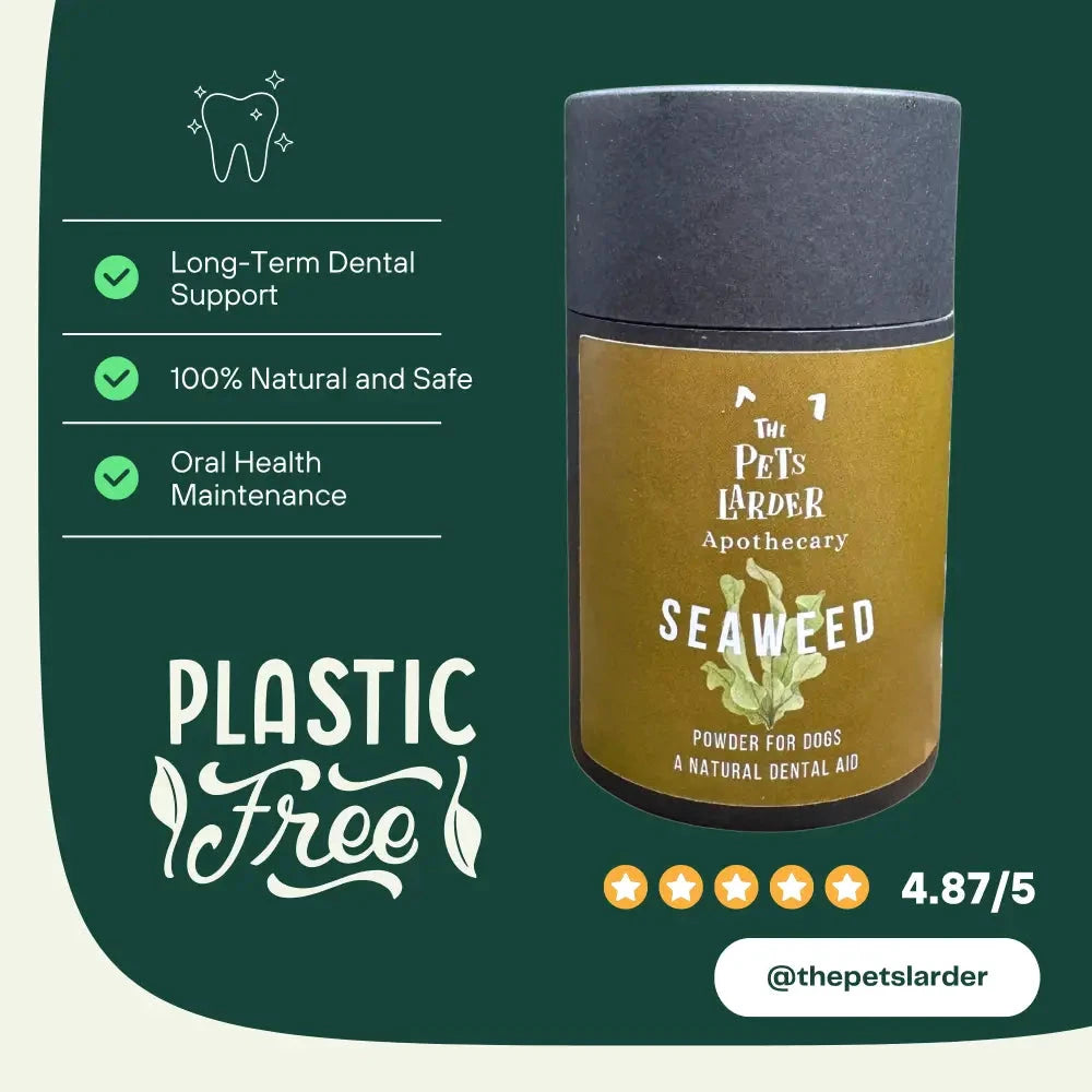 Dog Dental Seaweed – Natural Plaque Removal from Cornwall by The Pets Larder (dental-seaweed-for-dogs-plaque-removal)