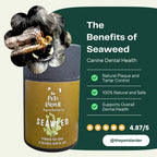 Dog Dental Seaweed – Natural Plaque Removal from Cornwall by The Pets Larder (dental-seaweed-for-dogs-plaque-removal)
