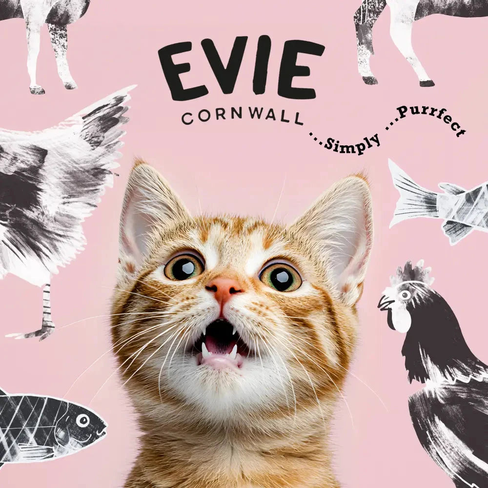 Cat Food for Neutered Cats - Evie Salmon & Whitefish Dry Food by The Pets Larder (evie-natural-dry-cat-food-salmon-with-whitefish)