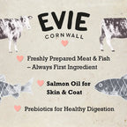 Dental Cat Food with Plaque Removal - Canagan Grain Free Turkey by The Pets Larder (evie-natural-dry-cat-food-turkey-with-chicken)