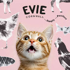 Natural Kitten Food – High Protein Turkey & Chicken Recipe by The Pets Larder (evie-natural-dry-kitten-food-turkey-with-chicken)