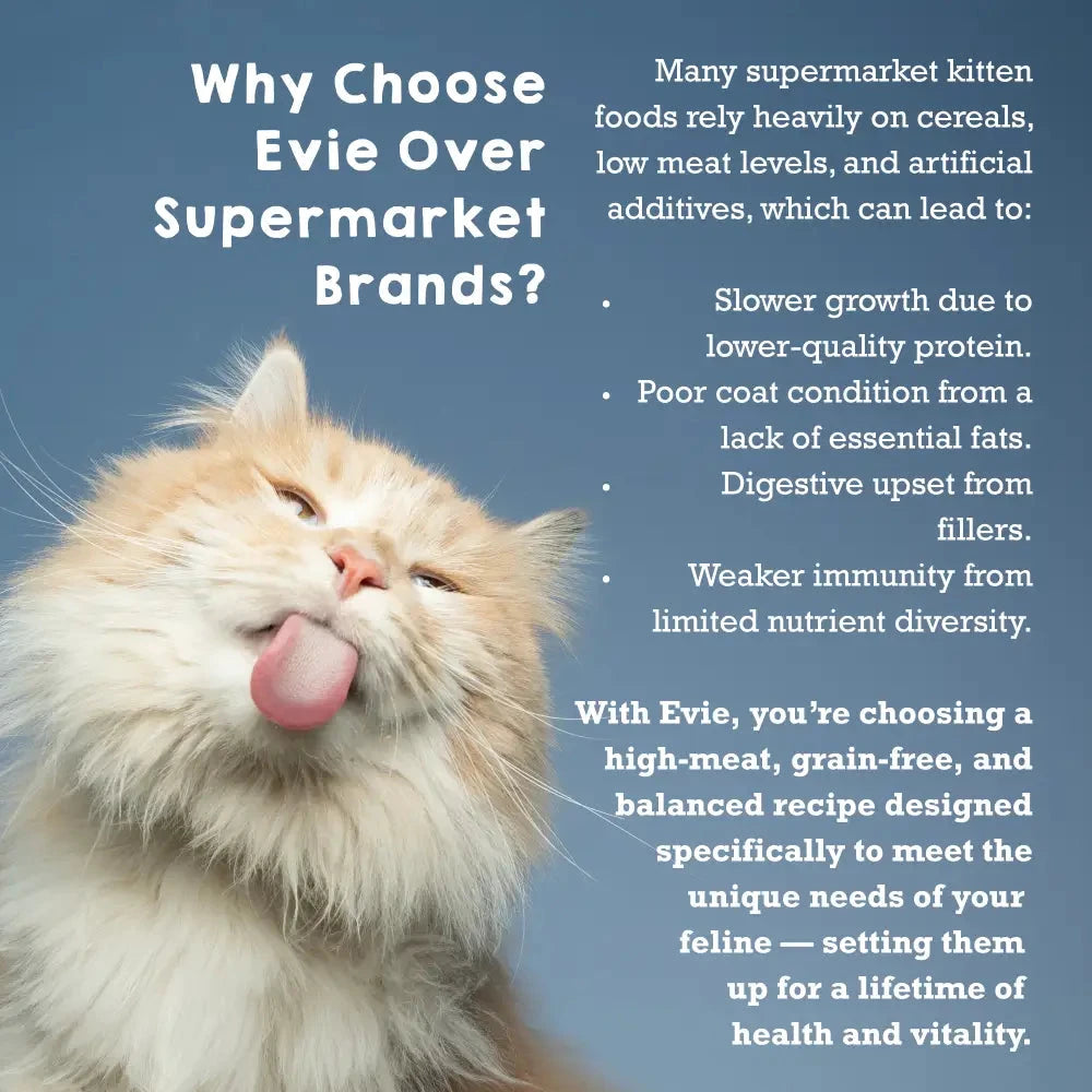 Natural Kitten Food – High Protein Turkey & Chicken Recipe by The Pets Larder (evie-natural-dry-kitten-food-turkey-with-chicken)