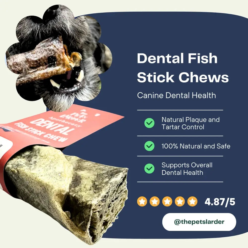 Natural Dog Chews - 100% Fish Skin Sticks from Cornwall by The Pets Larder (fish-stick-chew-for-dogs)