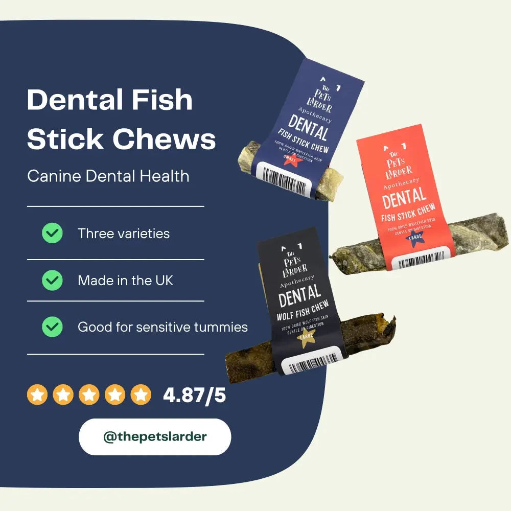 Natural Dog Chews - 100% Fish Skin Sticks from Cornwall by The Pets Larder (fish-stick-chew-for-dogs)