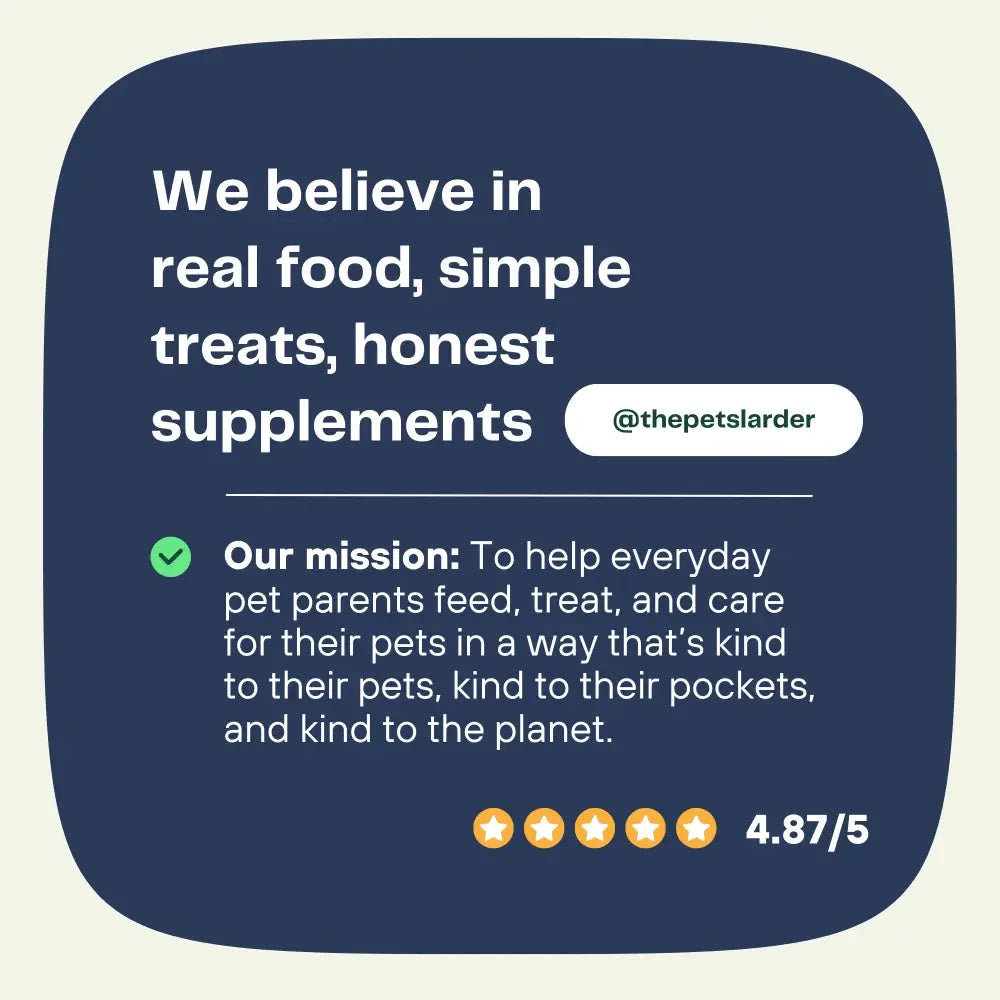 Natural Dog Chews - 100% Fish Skin Sticks from Cornwall by The Pets Larder (fish-stick-chew-for-dogs)