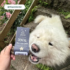 Natural Dog Chews - 100% Fish Skin Sticks from Cornwall by The Pets Larder (fish-stick-chew-for-dogs)