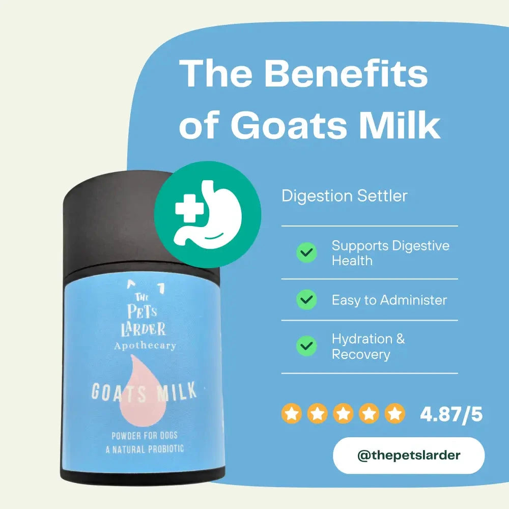 Goats Milk for Dogs – Natural Probiotic Powder by The Pets Larder (goats-milk-powder-for-dogs-a-natural-probiotic)