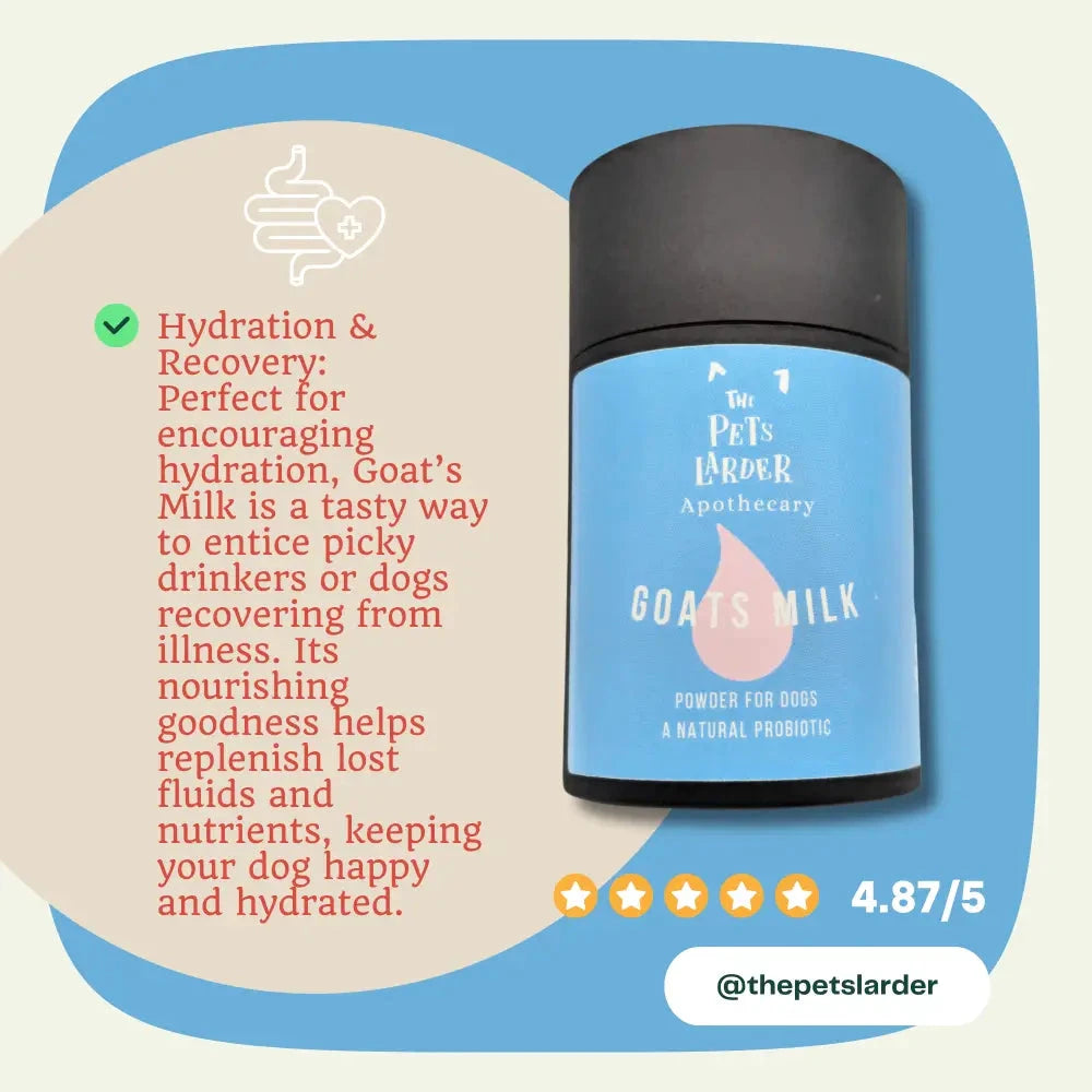 Goats Milk for Dogs – Natural Probiotic Powder by The Pets Larder (goats-milk-powder-for-dogs-a-natural-probiotic)