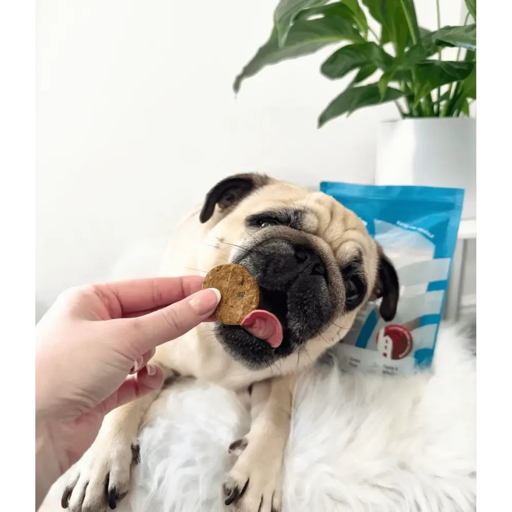 Natural Dog Treats – Cornish Whitefish & Potato Cookies by The Pets Larder (natural-cornish-whitefish-potato-cookies)