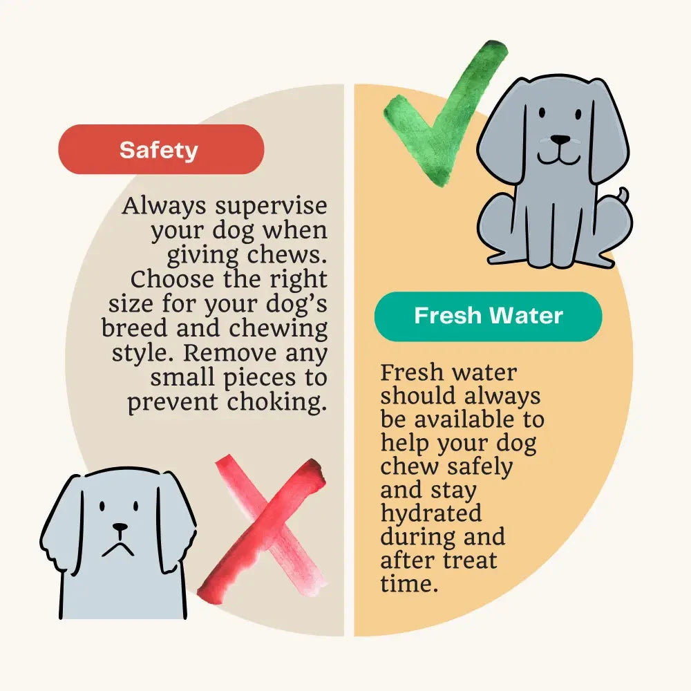 Natural Dog Chews – Pork Crackling Sticks for Happy Healthy Dogs by The Pets Larder (pork-crackling-stick-natural-meat-chew-for-dogs)