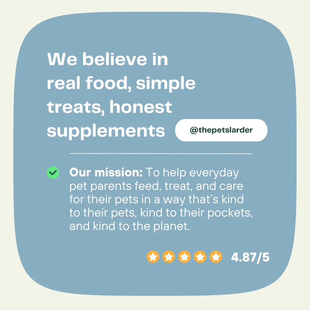 Natural Dog Chews – Pork Crackling Sticks for Happy Healthy Dogs by The Pets Larder (pork-crackling-stick-natural-meat-chew-for-dogs)