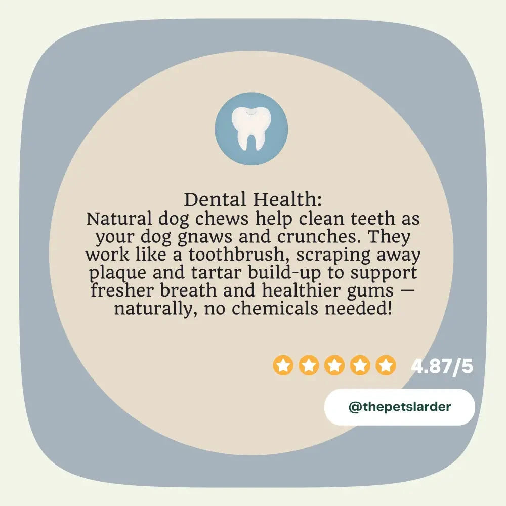 Natural Dog Chews – Pork Crackling Sticks for Happy Healthy Dogs by The Pets Larder (pork-crackling-stick-natural-meat-chew-for-dogs)