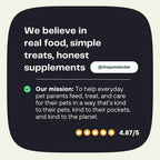 Pumpkin Powder for Dogs – Natural Digestive Support from Cornwall by The Pets Larder (pumpkin-powder-for-dogs-digestion-aid)